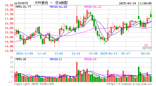 大叶股份