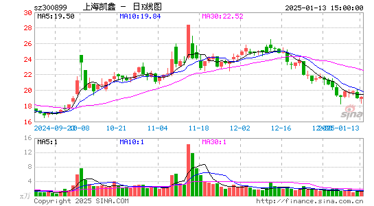 上海凯鑫