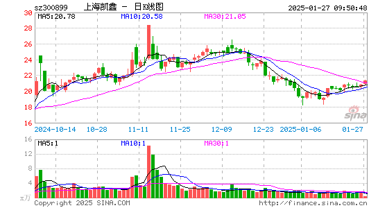 上海凯鑫