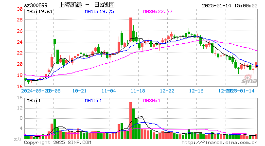 上海凯鑫