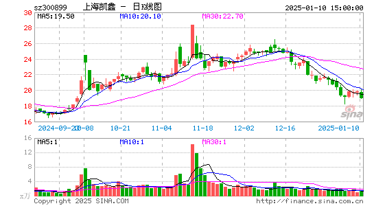 上海凯鑫