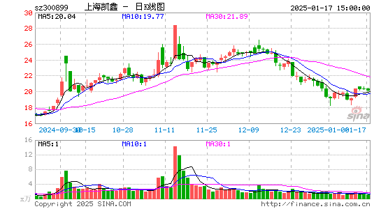 上海凯鑫