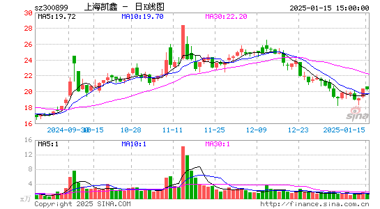 上海凯鑫