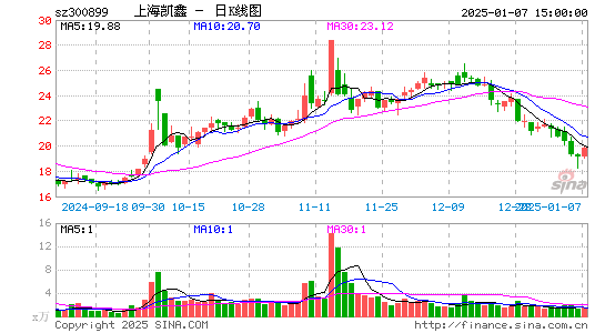 上海凯鑫