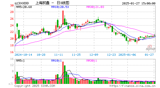 上海凯鑫