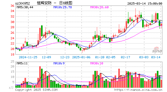 恒辉安防