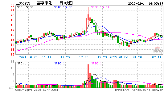 嘉亨家化