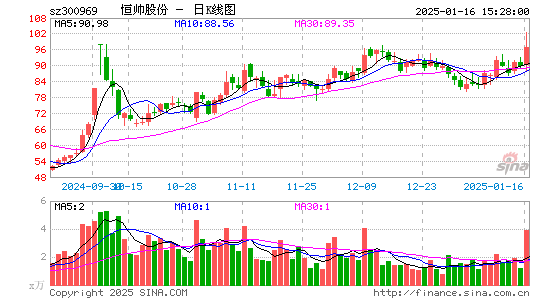 恒帅股份