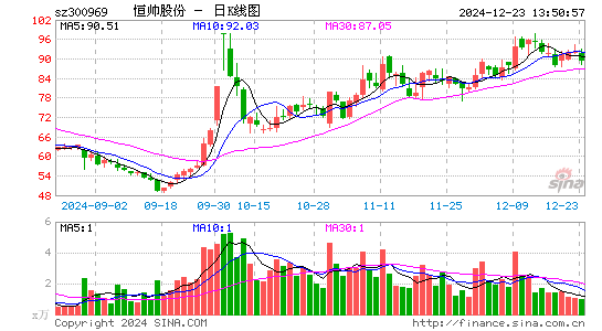 恒帅股份