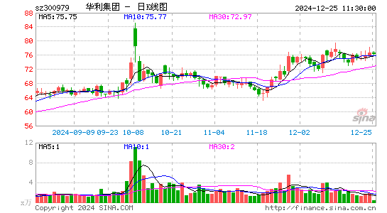 华利集团