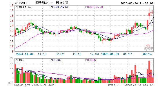 志特新材