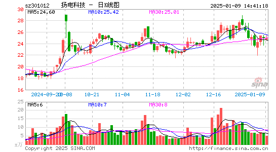 扬电科技