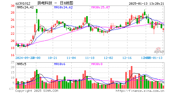 扬电科技