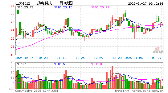 扬电科技