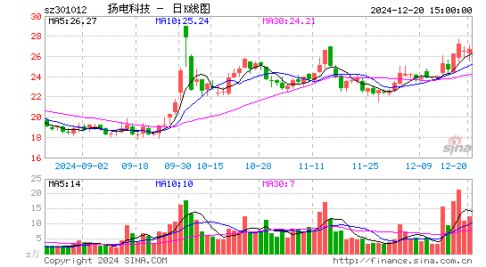 扬电科技