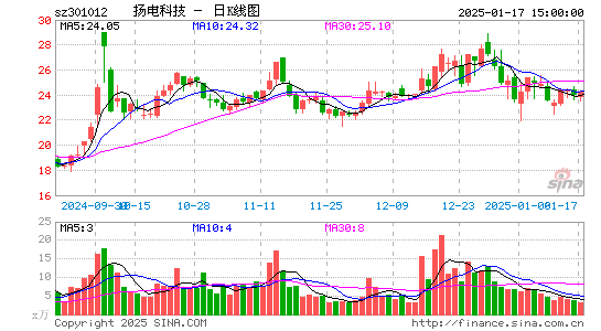 扬电科技