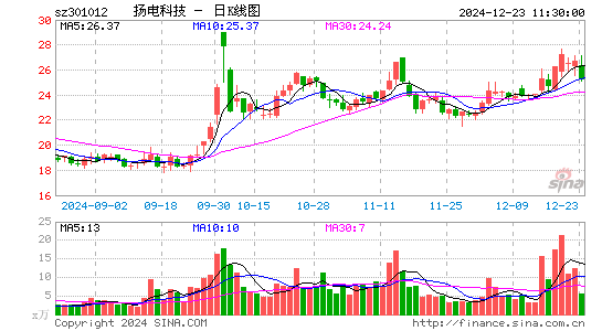 扬电科技