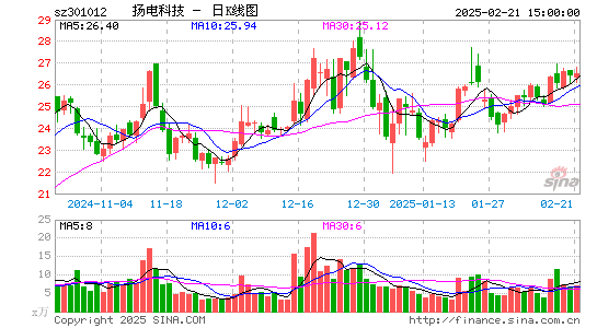 扬电科技