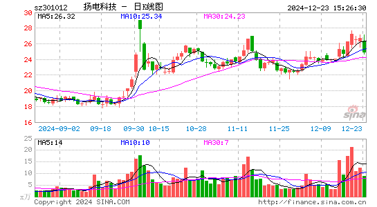 扬电科技