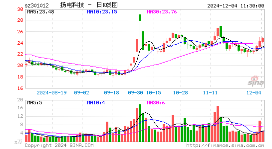 扬电科技