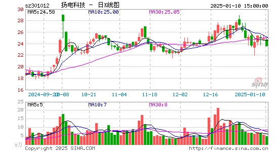 扬电科技