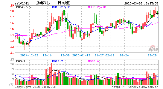 扬电科技