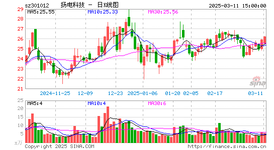 扬电科技