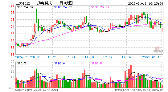 扬电科技