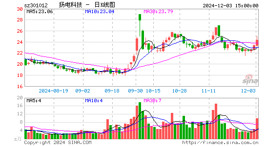 扬电科技