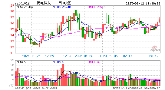 扬电科技