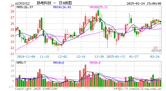 扬电科技