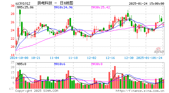 扬电科技