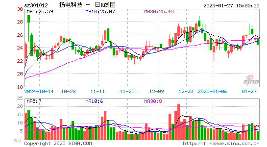 扬电科技