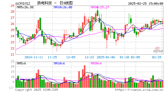 扬电科技