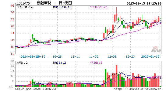 新瀚新材