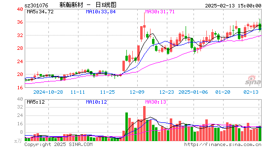 新瀚新材