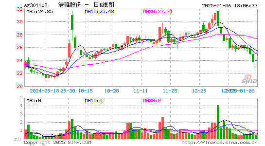 洁雅股份