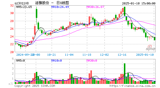 洁雅股份