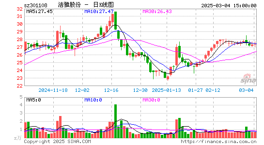 洁雅股份