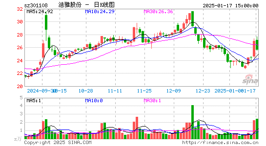 洁雅股份