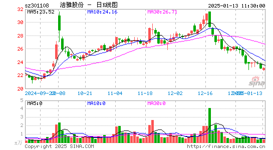 洁雅股份