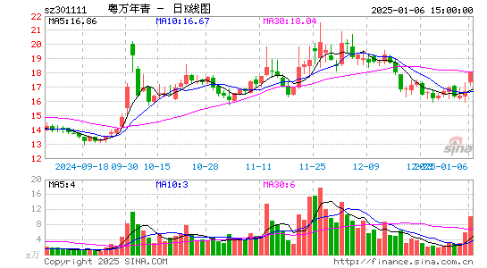 粤万年青