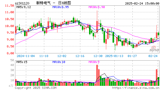 新特电气