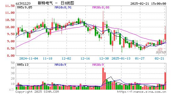 新特电气