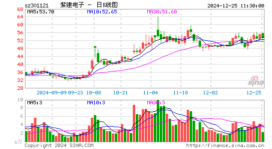 紫建电子