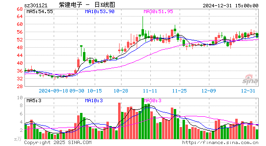 紫建电子