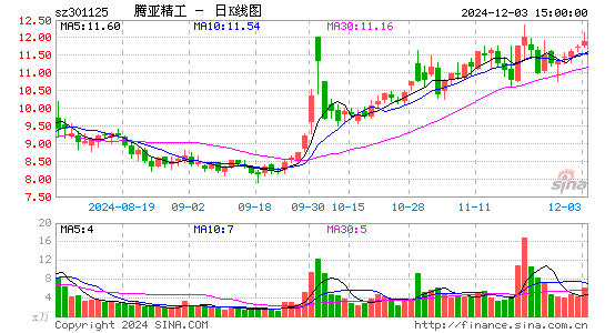 腾亚精工