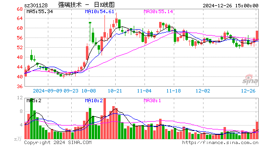 强瑞技术