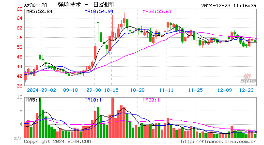 强瑞技术