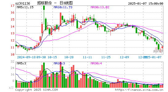 招标股份